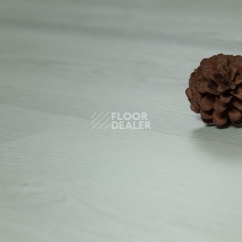 Tarkett Funky House JACK фото 11 | FLOORDEALER